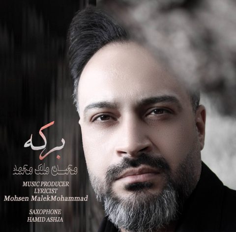 دانلود آهنگ محسن ملک محمد برکه